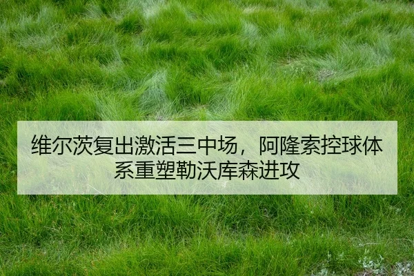 wei-er-ci-fu-chu-ji-huo-san-zhong-chang-a-long-suo-kong-qiu-ti-xi-zhong-su-lei-wo-ku-sen-jin-gong-3-509.jpg