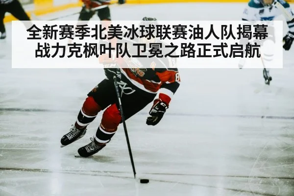 hockey player skating