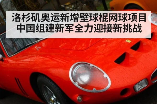 洛杉矶奥运新增壁球棍网球项目 中国组建新军全力迎接新挑战